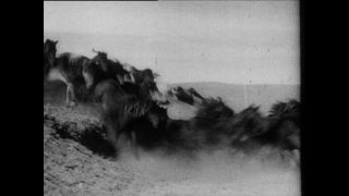 Link zum Video | Paul Lieberenz