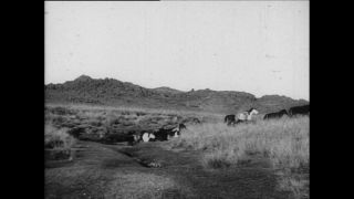 Link zum Video | Paul Lieberenz