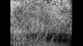 Link to Video | Paul Karl Lieberenz