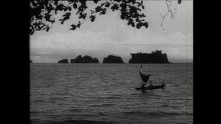 Link to Video | Paul Karl Lieberenz