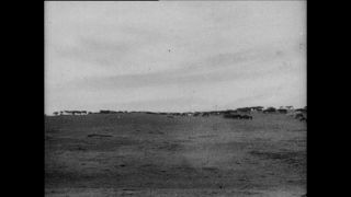 Link zum Video | Paul Lieberenz