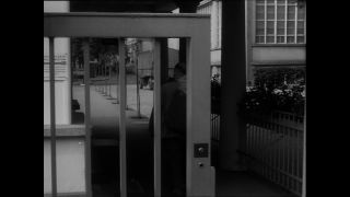 Link to Video | Baumwollspinnerei, wool, Paul Karl Lieberenz, Kulmbach, Germany, silk mill, angora wool, Angora rabbit, yarn industry, textile industry, 20th century, factory