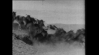 Link zum Video | Paul Lieberenz