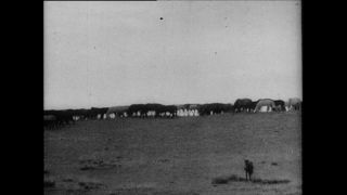 Link zum Video | Paul Lieberenz