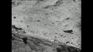 Link zum Video | Paul Lieberenz