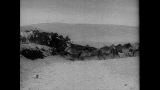 Link zum Video | Paul Lieberenz