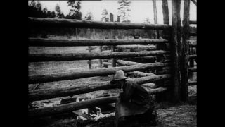 Link zum Video | Paul Lieberenz