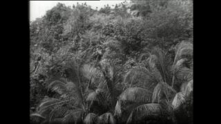 Link zum Video | Paul Lieberenz