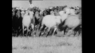 Link zum Video | Paul Lieberenz