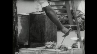 Link zum Video | Paul Lieberenz