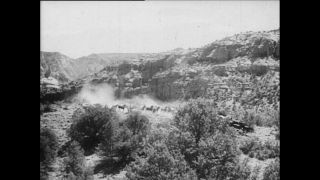 Link to Video | Paul Karl Lieberenz