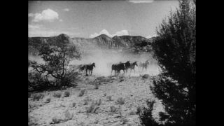 Link to Video | Paul Karl Lieberenz