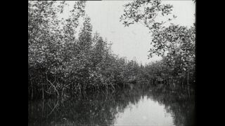 Link to Video | Paul Karl Lieberenz