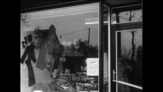 Link to Video | Baumwollspinnerei, wool, Paul Karl Lieberenz, Kulmbach, Germany, silk mill, angora wool, Angora rabbit, yarn industry, textile industry, 20th century, factory