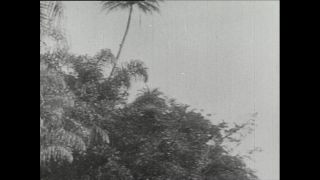 Link to Video | Paul Karl Lieberenz