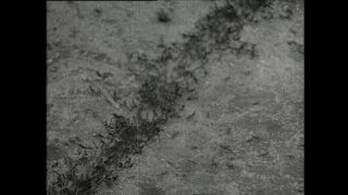 Link to Video | Paul Karl Lieberenz