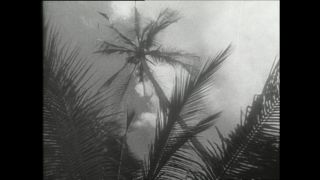 Link zum Video | Paul Lieberenz