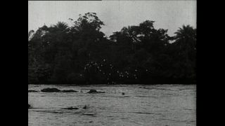 Link to Video | Paul Karl Lieberenz