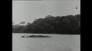 Link to Video | Paul Karl Lieberenz