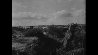 Link to Video | Paul Karl Lieberenz