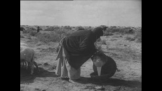 Link to Video | Paul Karl Lieberenz