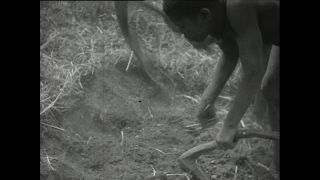 Link to Video | Paul Karl Lieberenz, Kamerun