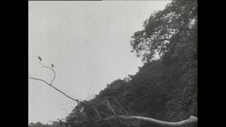 Link to Video | Paul Karl Lieberenz