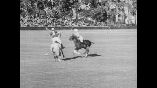 Link to Video | Paul Karl Lieberenz