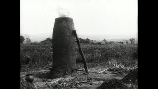 Link zum Video | Paul Lieberenz