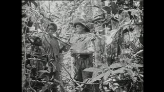 Link to Video | Paul Karl Lieberenz