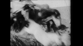 Link zum Video | Paul Lieberenz