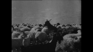 Link to Video | Paul Karl Lieberenz