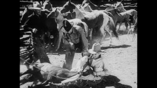 Link to Video | Paul Karl Lieberenz