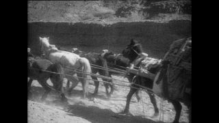 Link to Video | Paul Karl Lieberenz