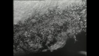 Link to Video | Paul Karl Lieberenz