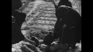 Link to Video | Paul Karl Lieberenz