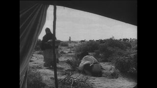 Link to Video | Paul Karl Lieberenz