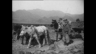 Link to Video | Paul Karl Lieberenz