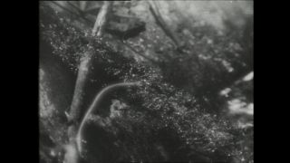 Link to Video | Paul Karl Lieberenz