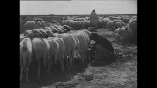 Link to Video | Paul Karl Lieberenz