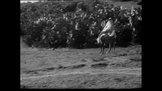 Link to Video | Paul Karl Lieberenz