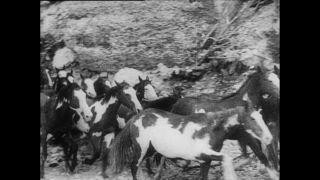 Link zum Video | Paul Lieberenz