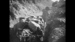 Link to Video | Paul Karl Lieberenz