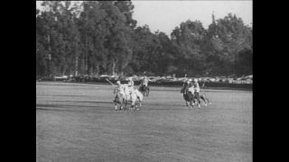 Link zum Video | Paul Lieberenz