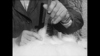 Link to Video | Baumwollspinnerei, wool, Paul Karl Lieberenz, Kulmbach, Germany, silk mill, angora wool, Angora rabbit, yarn industry, textile industry, 20th century, factory