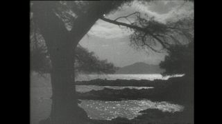 Link to Video | Paul Karl Lieberenz