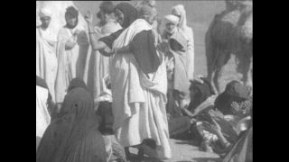 Link zum Video | Paul Lieberenz