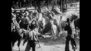 Link zum Video | Paul Lieberenz