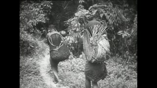 Link zum Video | Paul Lieberenz, Kamerun