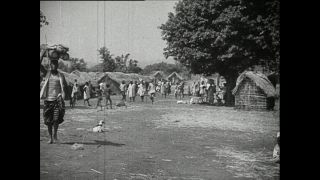 Link zum Video | Paul Lieberenz, Kamerun